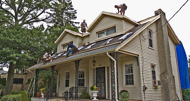 Best Shingle Roofing Installation  in Ossian, IN